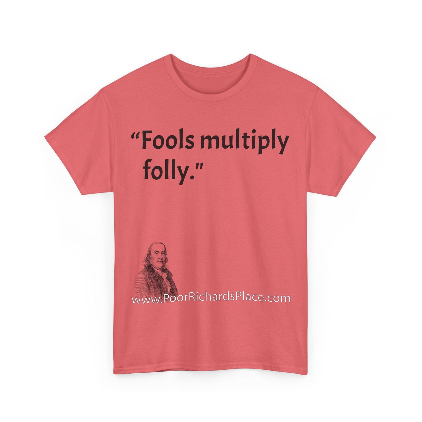 Unisex T-Shirt - Poor Richard Says Fools multiply folly