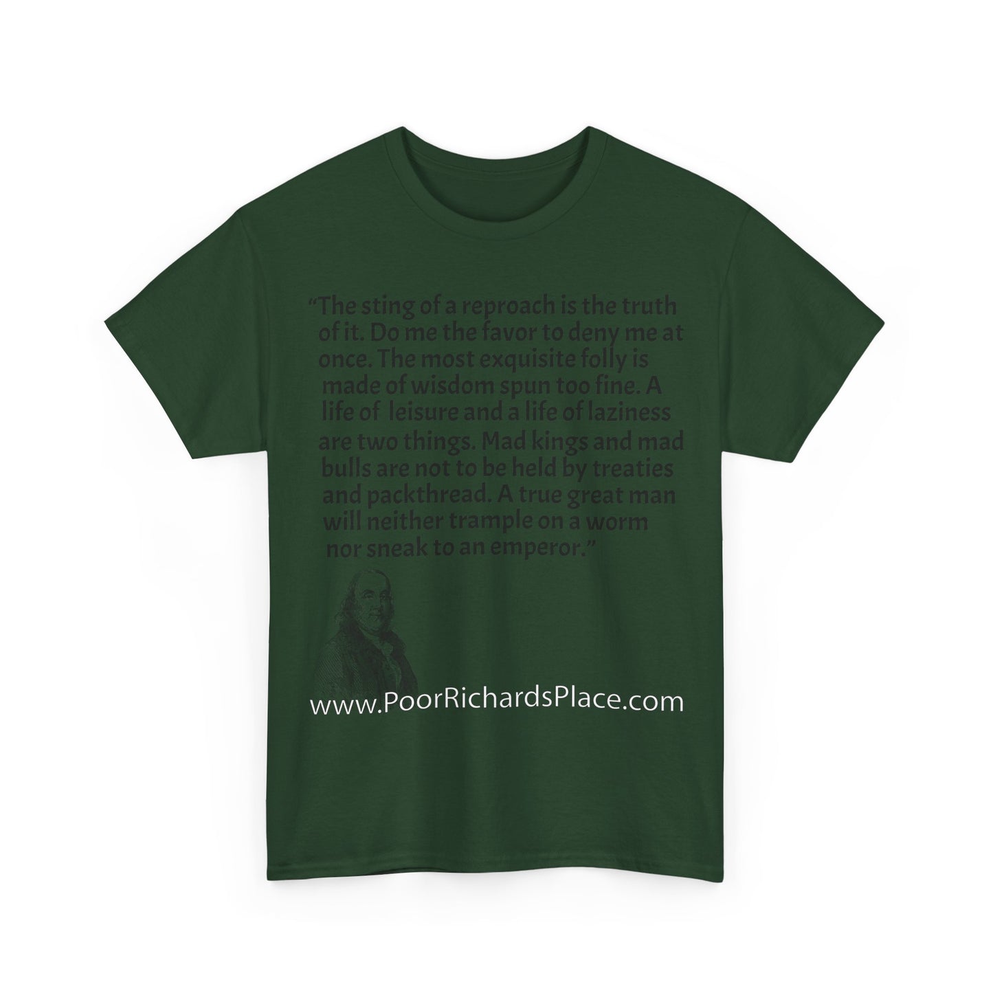 Unisex T-Shirt - Poor Richard Says The sting of a reproach is the truth of it. Do me the favor to deny me at once