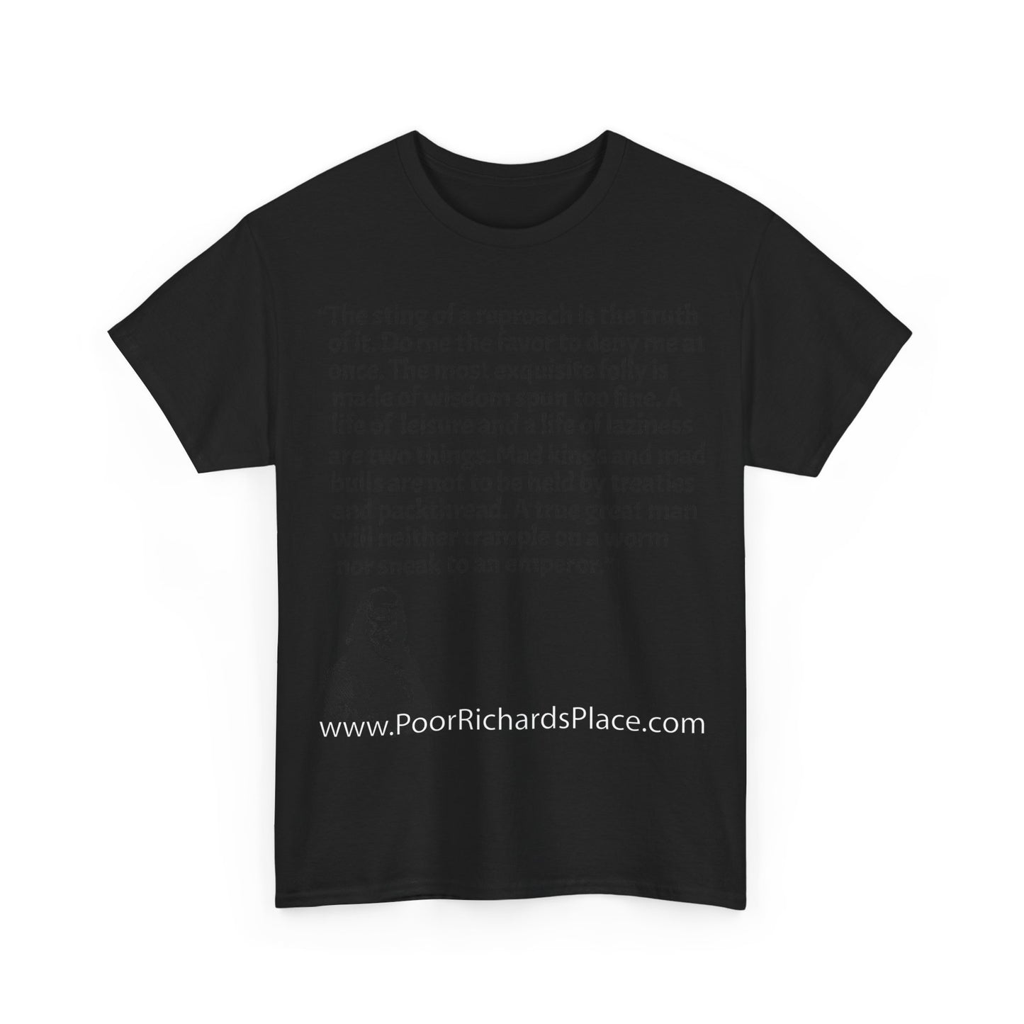 Unisex T-Shirt - Poor Richard Says The sting of a reproach is the truth of it. Do me the favor to deny me at once